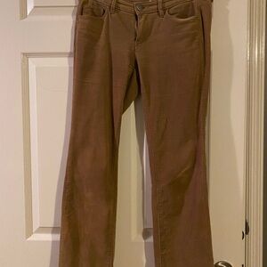 LOFT Tan Modern Bootcut Pants